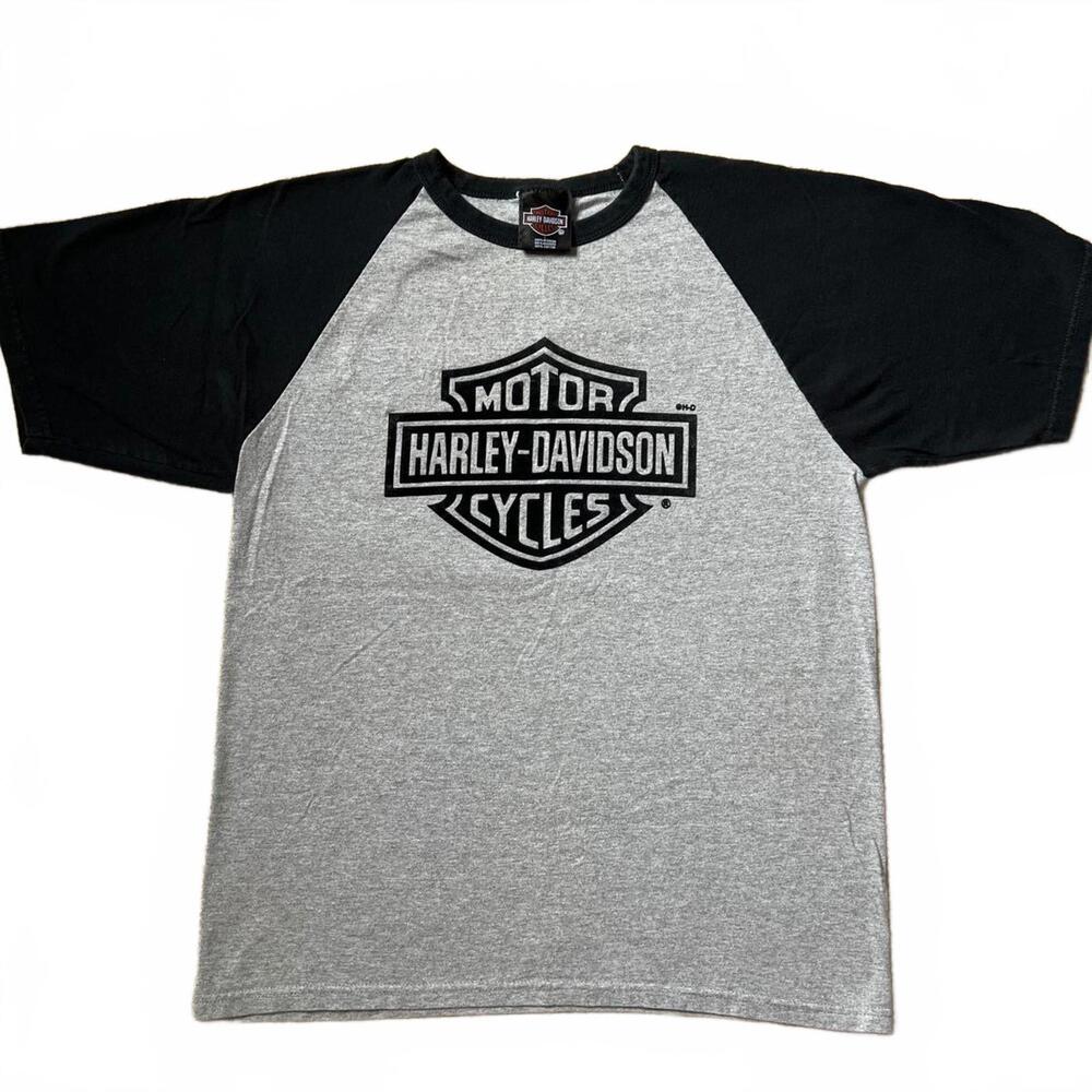 Harley Davidson Cancun Mexico Raglan T-Shirt Men’s L Gray Black Flocked Logo
